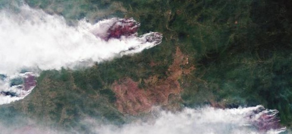 Bruciano 3,2 milioni di ettari di foreste in Siberia (Vaia aveva distrutto 42.000 ettari di boschi)